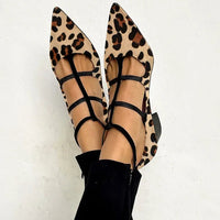 Leopardo
